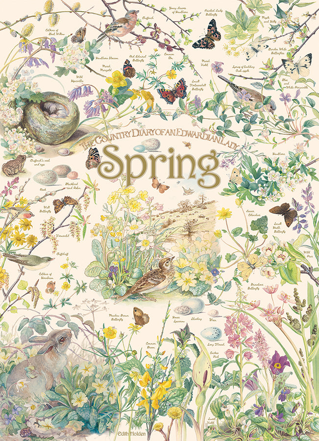 Country Diary: Spring | 1000 Piece