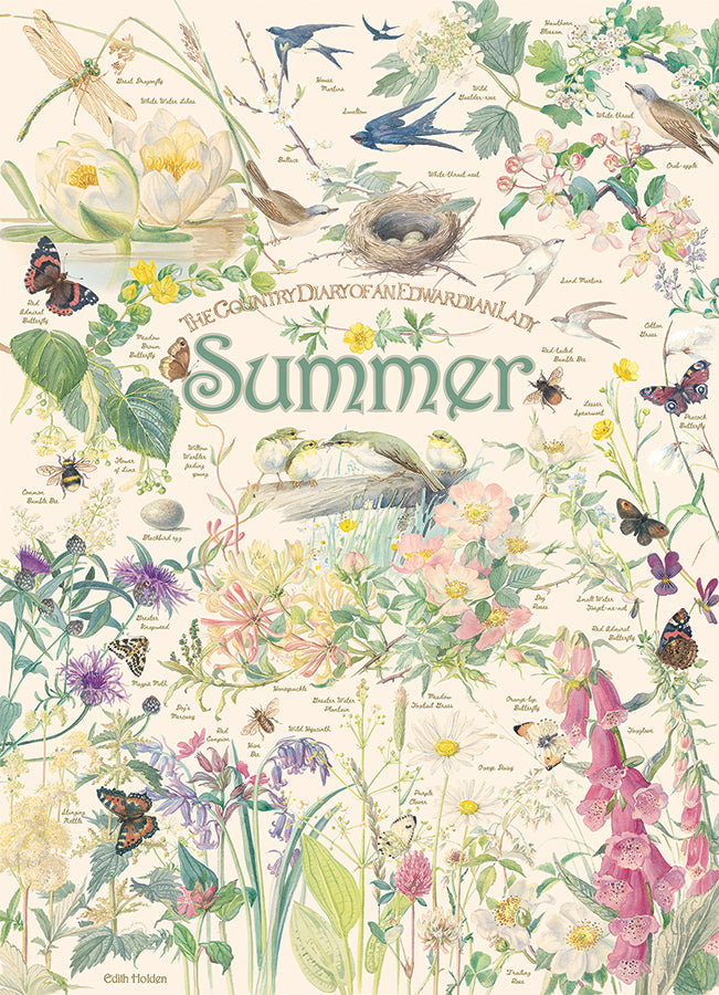 Country Diary: Summer | 1000 Piece