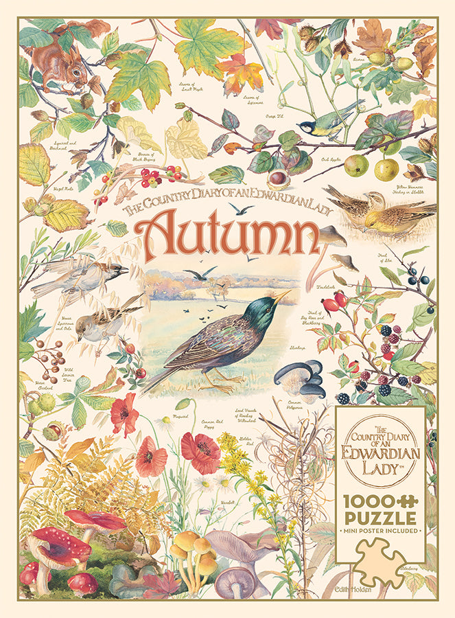 Country Diary: Autumn | 1000 Piece