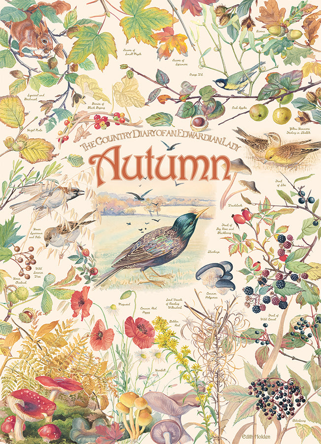 Country Diary: Autumn | 1000 Piece