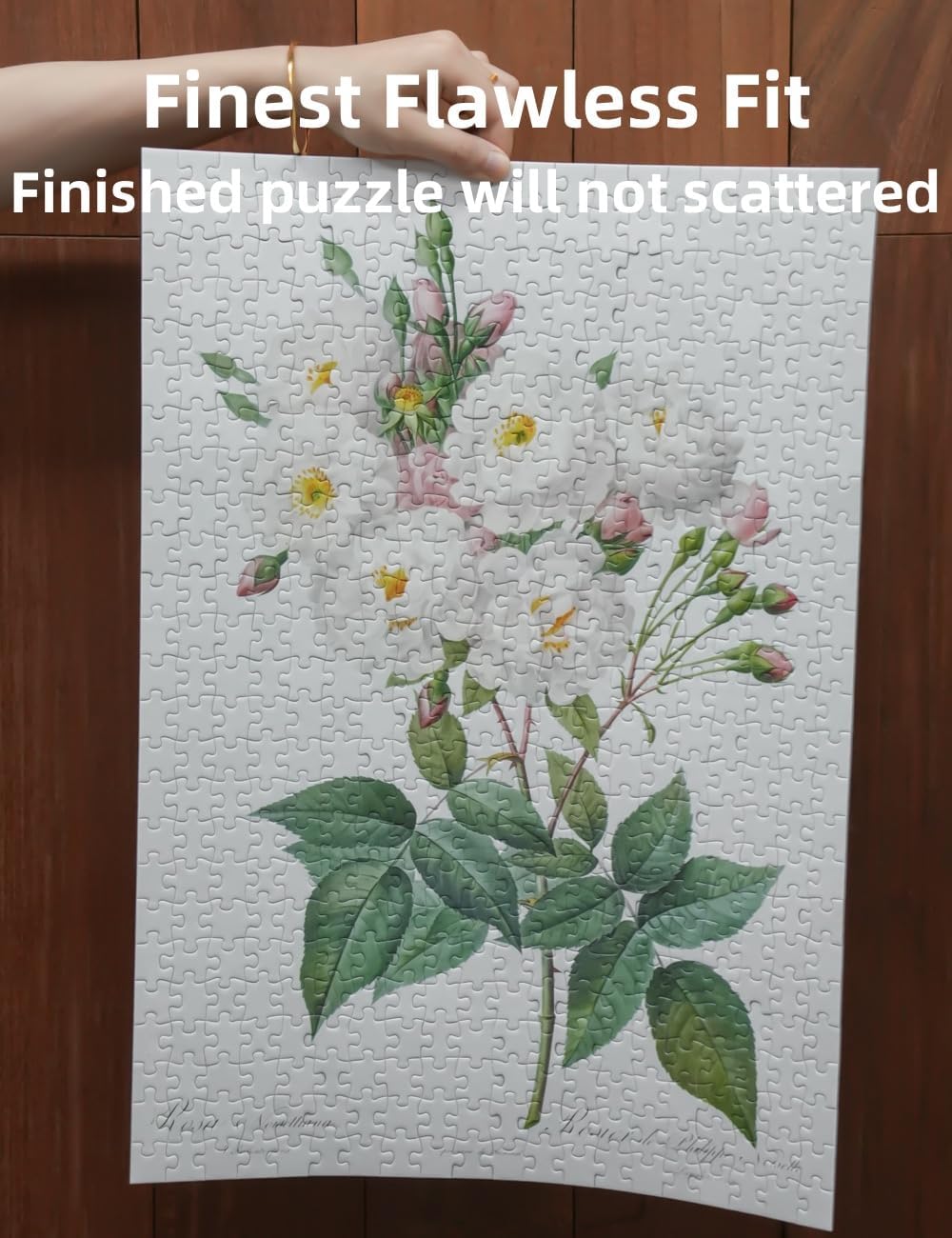 The Bible of Roses (White) - 500 Pieces - Jigsaw Puzzle