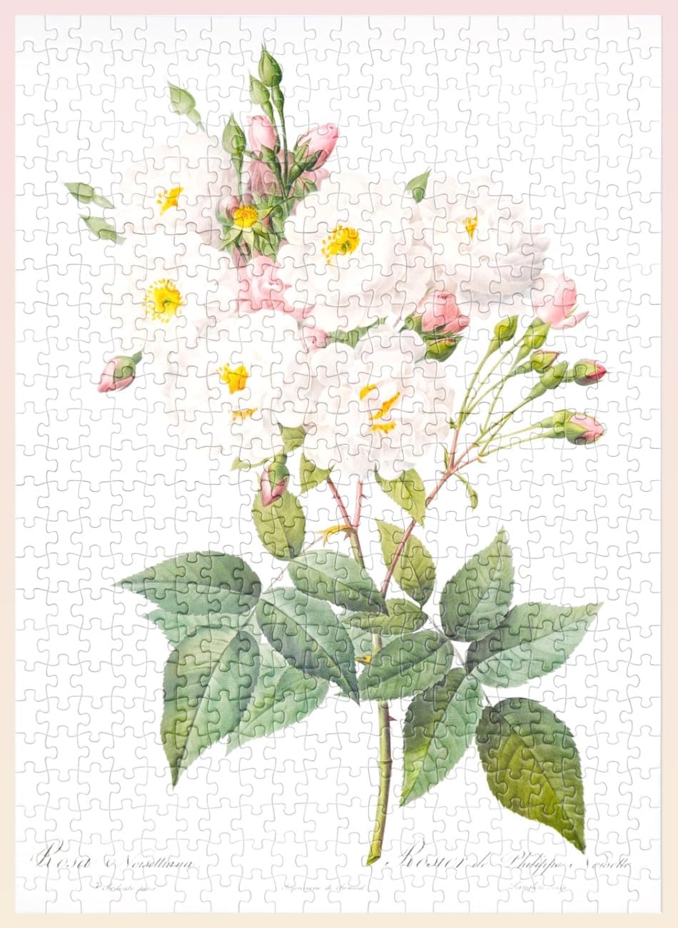 The Bible of Roses (White) - 500 Pieces - Jigsaw Puzzle