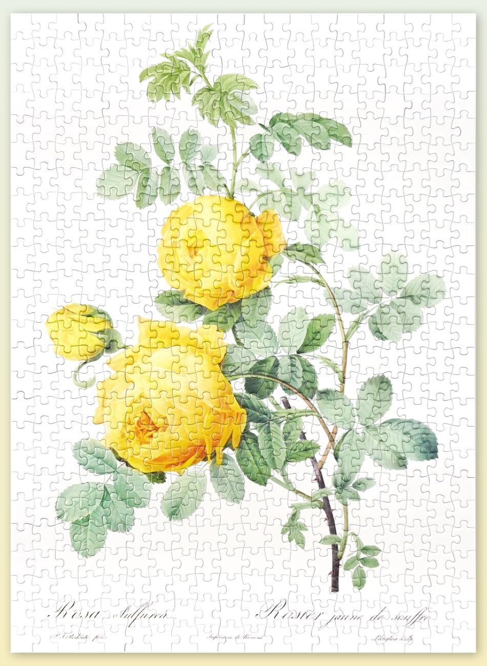 The Bible of Roses (Yellow) - 500 Pieces - Jigsaw Puzzle