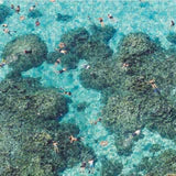 Gray Malin The Beach Two-sided 500 Pieces Puzzle