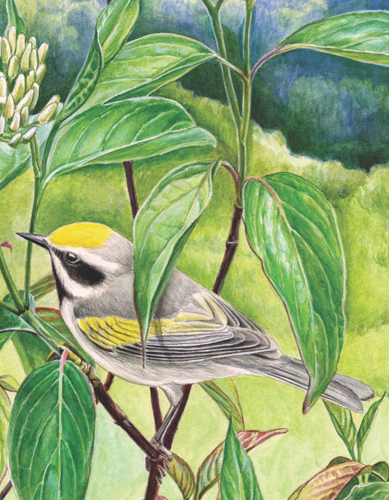 Golden-winged Warbler Mini 100 Piece Mini Puzzle