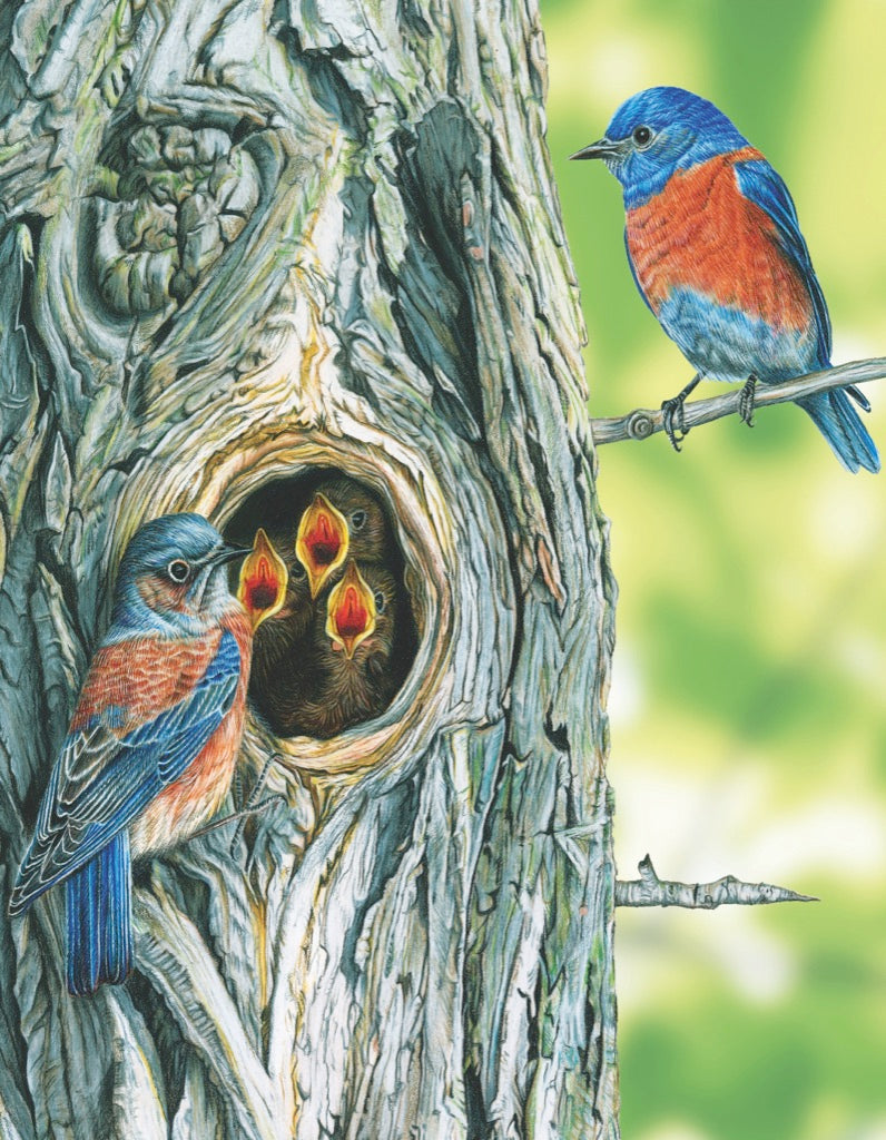 Western Bluebird Mini 100 Piece Mini Puzzle