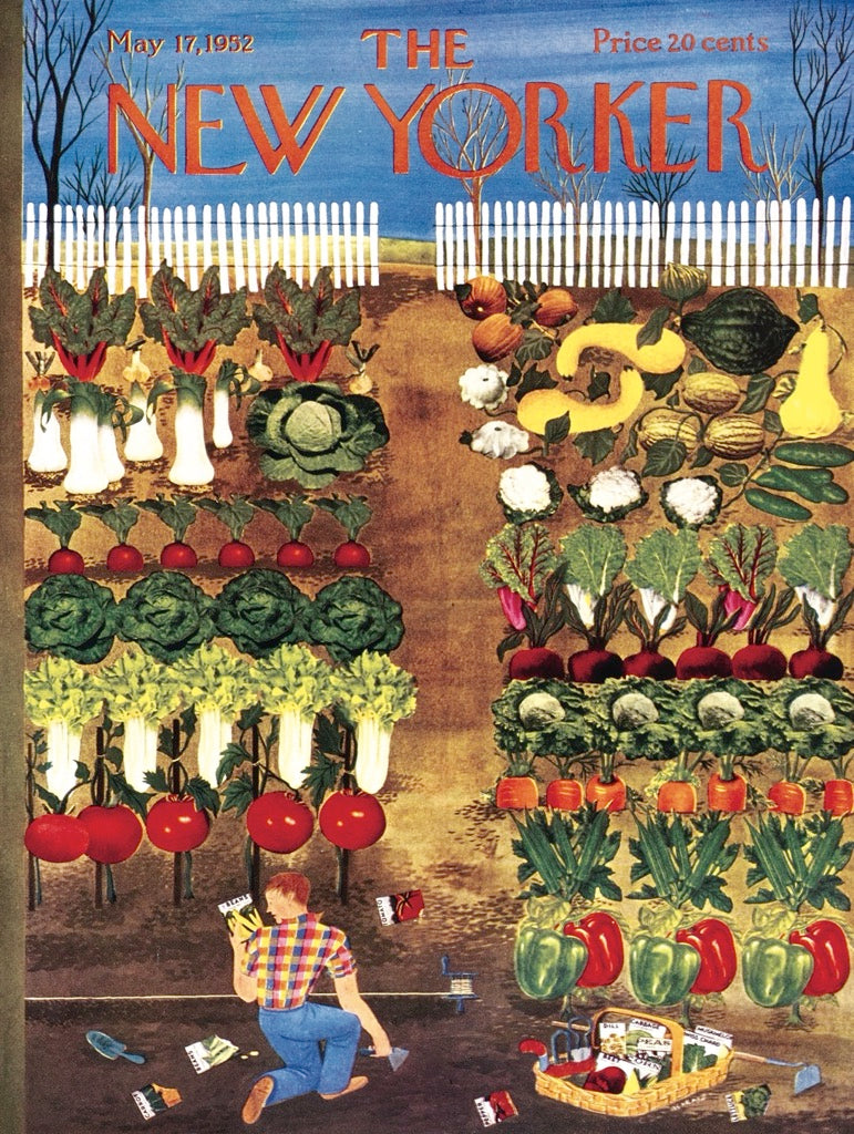 Vegetable Garden 1000 Piece Jigsaw Puzzle