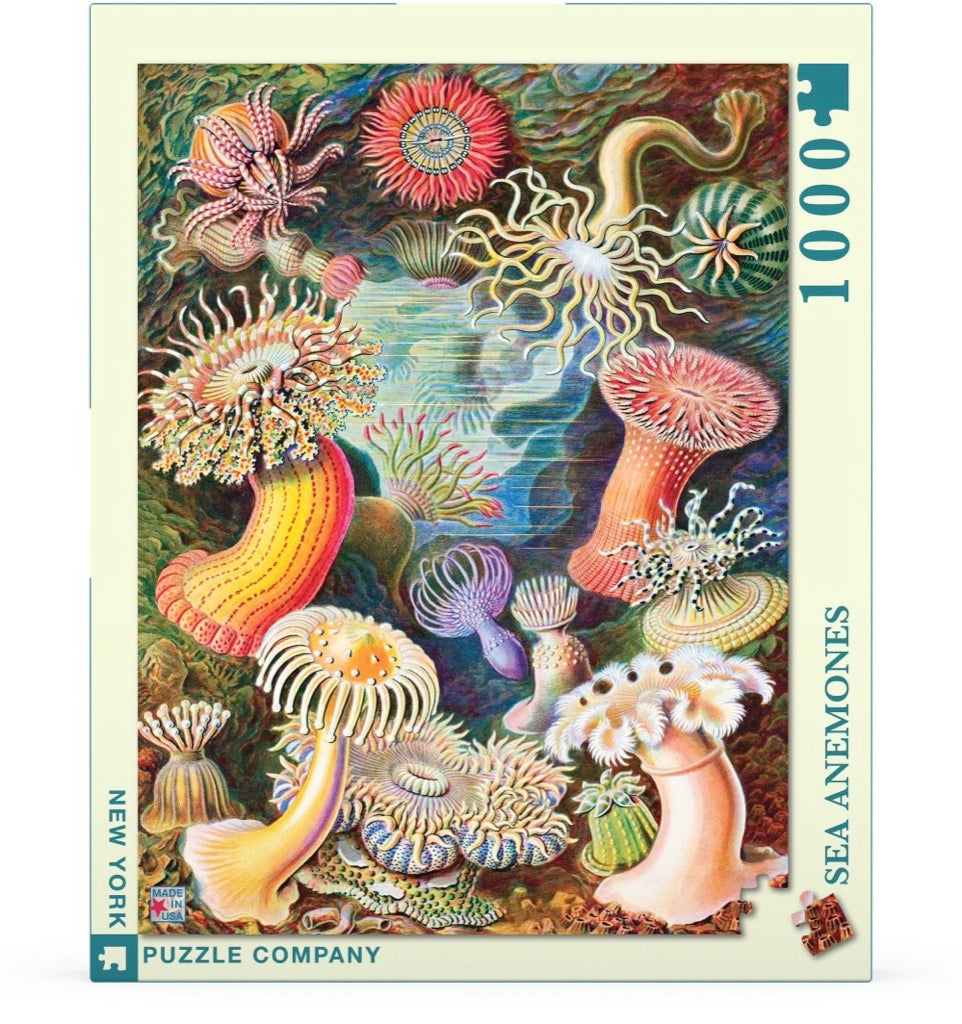 Sea Anemones 1000 Piece Jigsaw Puzzle