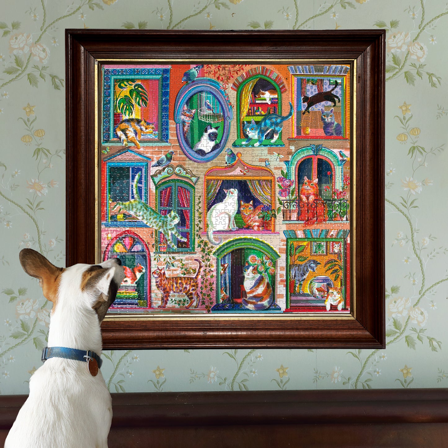 Cats in Windows 1000 Piece Puzzle