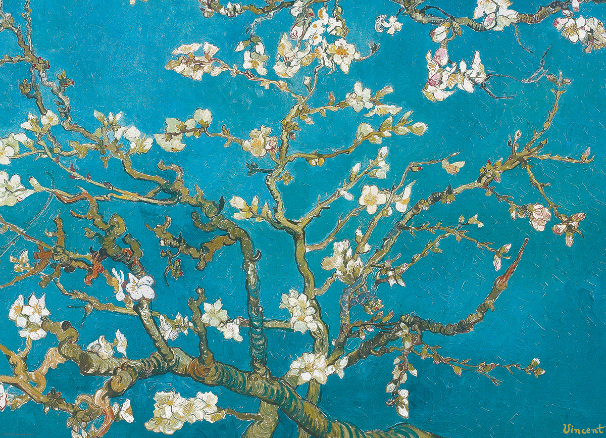 Almond Blossom