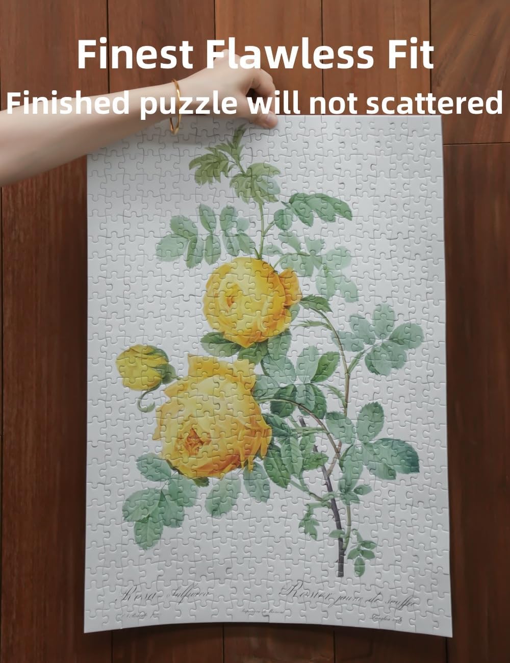 The Bible of Roses (Yellow) - 500 Pieces - Jigsaw Puzzle
