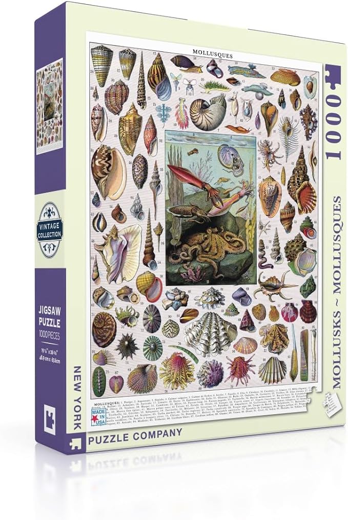 Mollusks 1000 Piece Jigsaw Puzzle