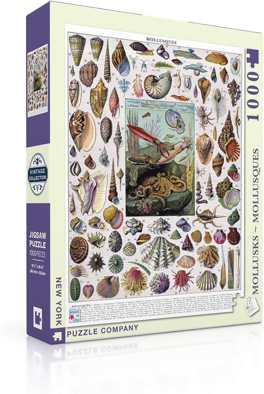Mollusks 1000 Piece Jigsaw Puzzle