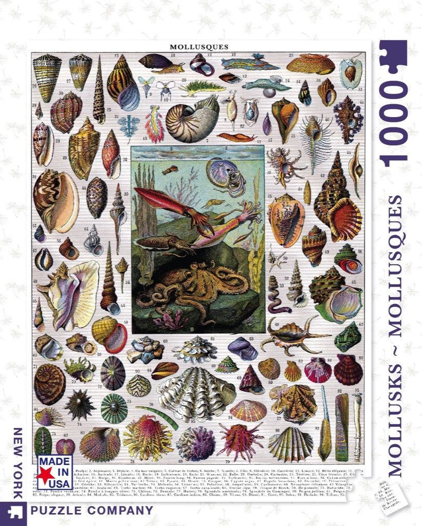 Mollusks 1000 Piece Jigsaw Puzzle