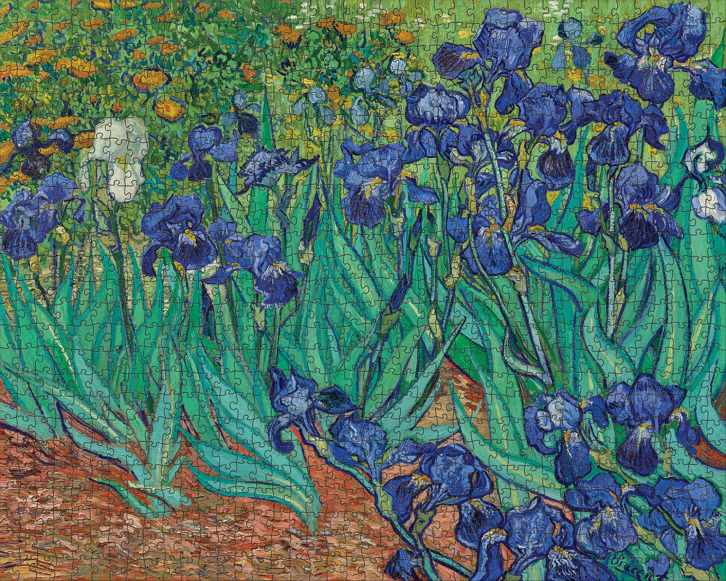 Vincent Van Gogh Irises 1000-Piece Jigsaw Puzzle