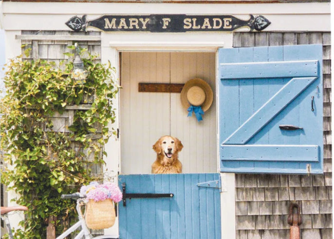 Gray Malin Nantucket 1000 Piece Book Box Puzzle