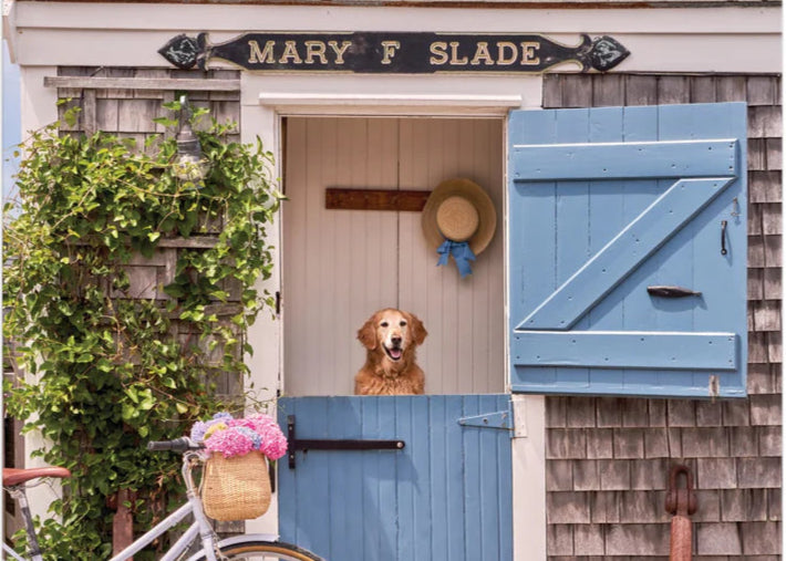 Gray Malin Nantucket 1000 Piece Book Box Puzzle