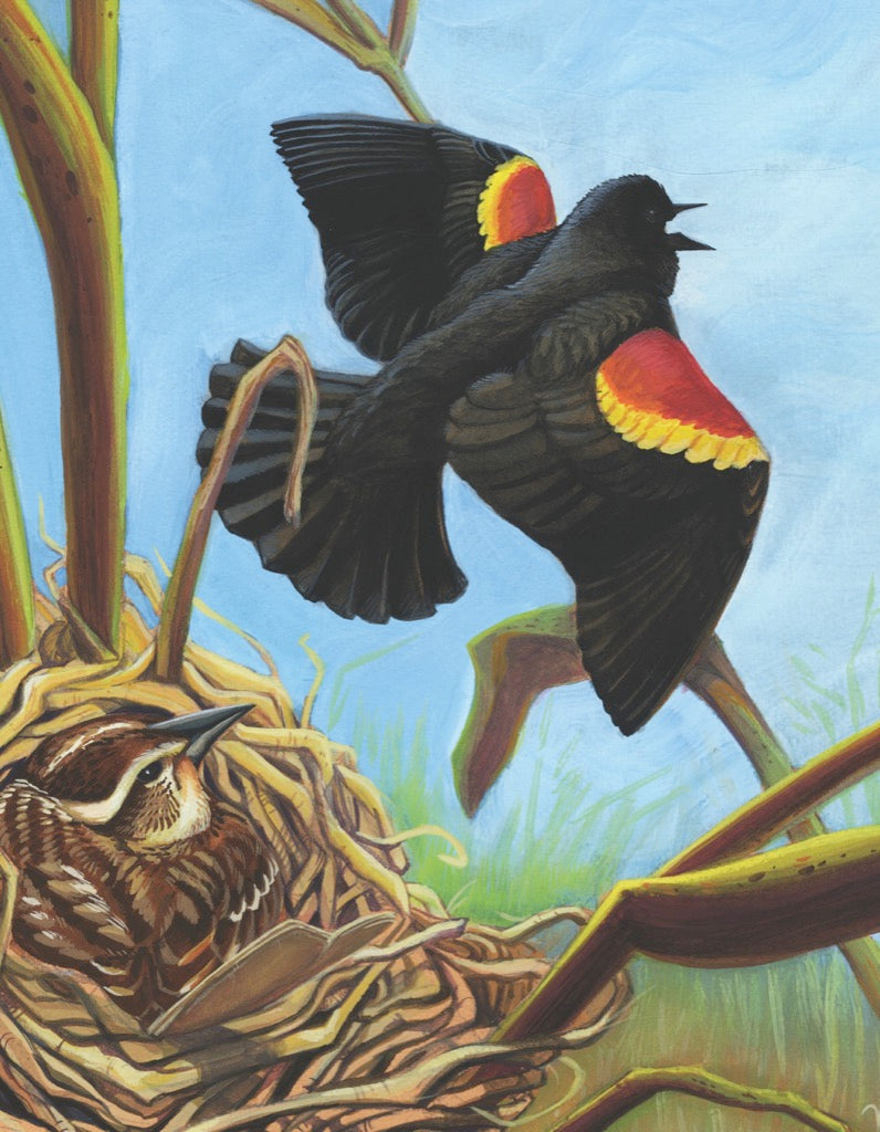 Red-winged Blackbird Mini 100 Piece Mini Puzzle