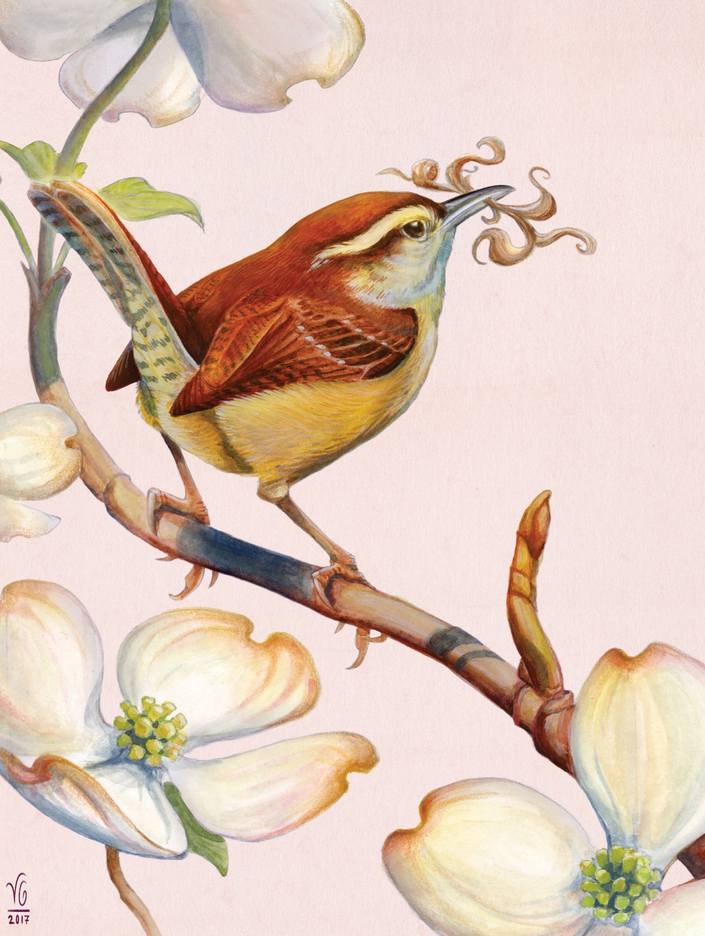 Carolina Wren 500 Piece Jigsaw Puzzle