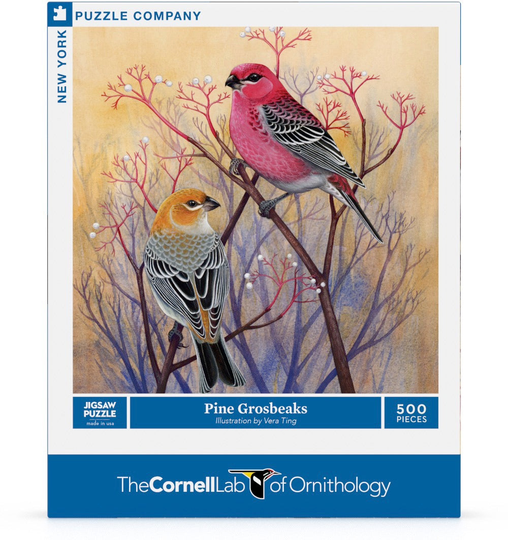 Pine Grosbeaks 500 Piece Jigsaw Puzzle (Damaged Box)