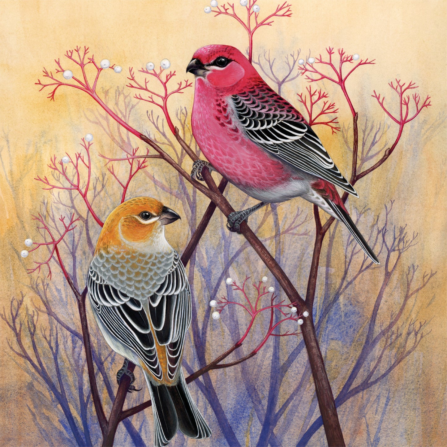 Pine Grosbeaks 500 Piece Jigsaw Puzzle (Damaged Box)