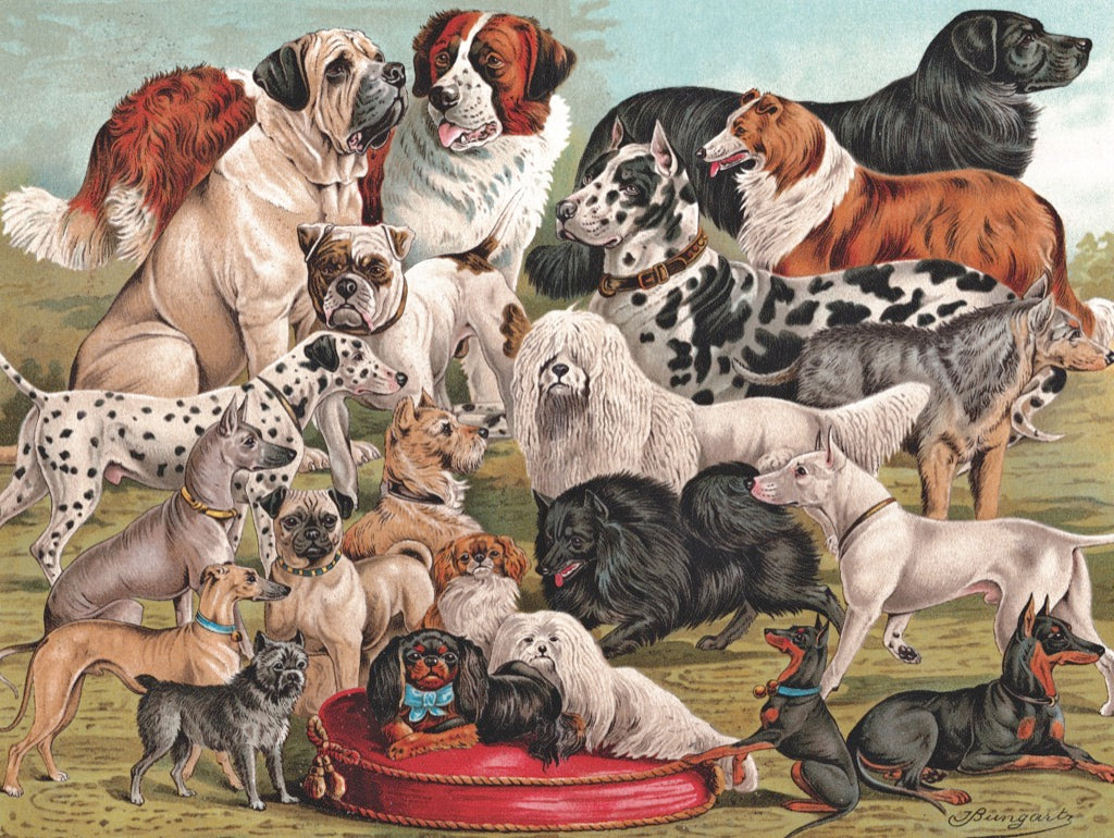 Dog Breeds 1000 Piece Jigsaw Puzzle