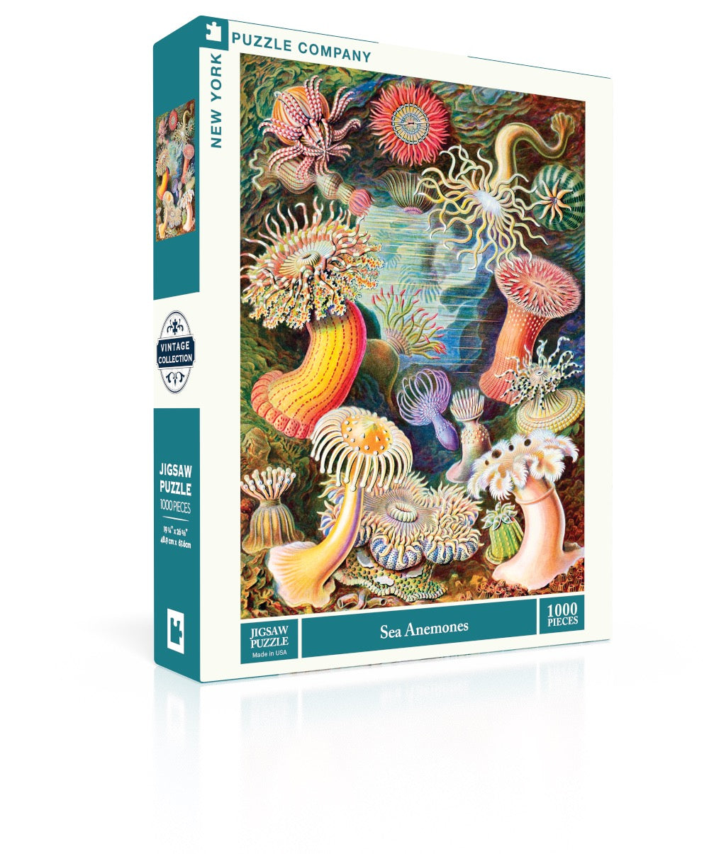 Sea Anemones 1000 Piece Jigsaw Puzzle