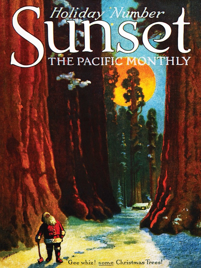 Santa's Sequoias 500 Piece Jigsaw Puzzle