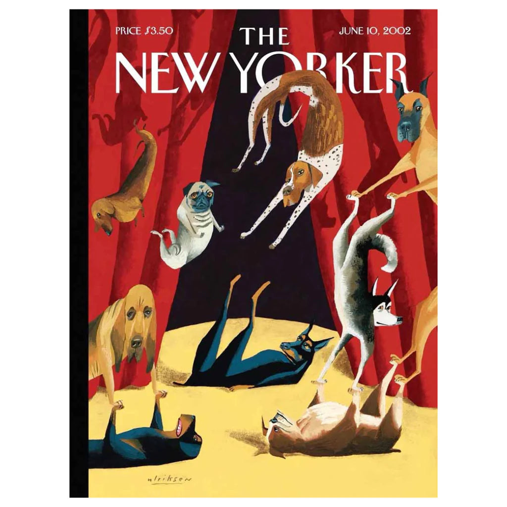 Dog Show 500 Piece Jigsaw Puzzle