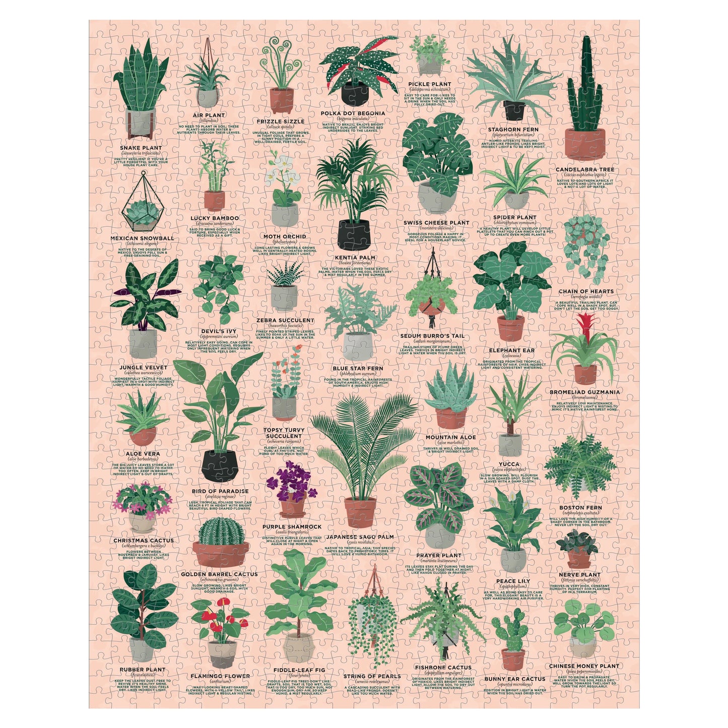 House Plants 1000 Piece Jigsaw Puzzle